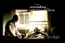 seventeen-and-dying1