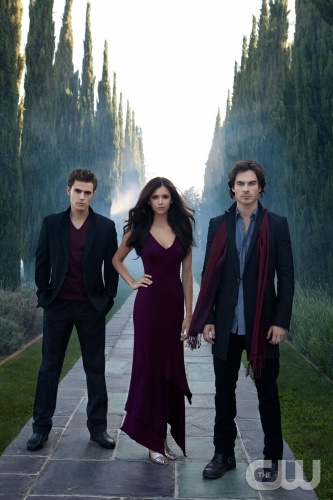 vampire diaries stefan. Vampire Diaries TV show.